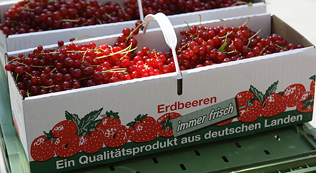 Johannis-Erdbeeren